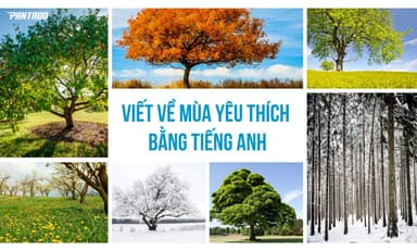 Viết Về Mùa Yêu Thích Bằng Tiếng Anh (Favourite Season)