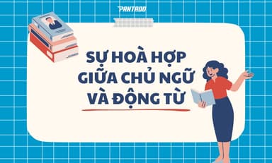 20+ Quy Tắc Hòa Hợp Giữa Chủ Ngữ Và Động Từ Chi Tiết Nhất