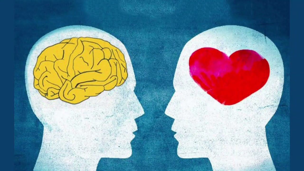 5 thành tố của trí tuệ cảm xúc