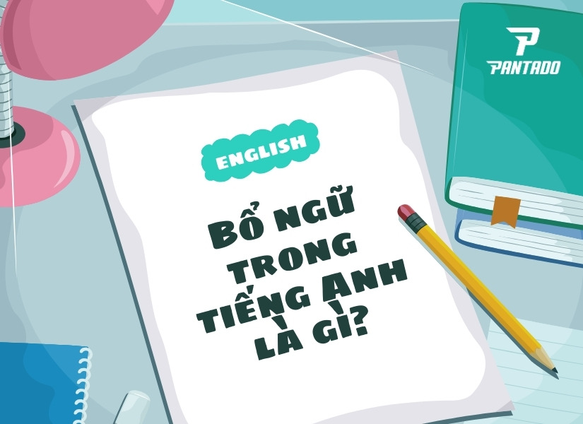 Bổ ngữ trong tiếng Anh là gì?