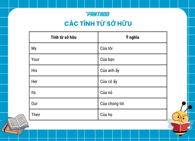 Tổng hợp các tính từ sở hữu trong tiếng Anh