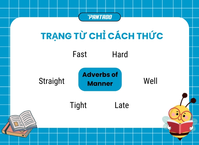 Trạng từ chỉ cách thức (Adverbs of Manner)