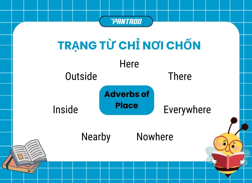 Trạng từ chỉ nơi chốn (Adverbs of Place)