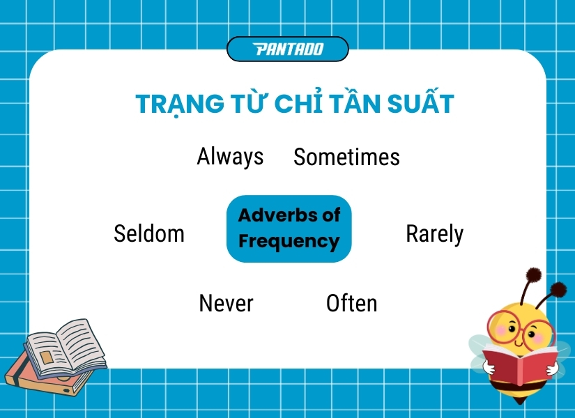 Trạng từ chỉ tần suất (Adverbs of Frequency)