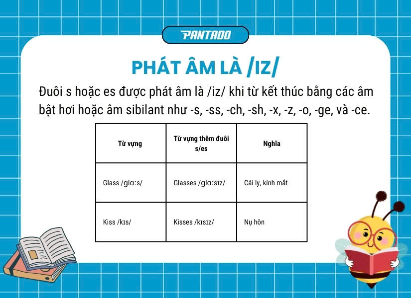 Phát âm là /iz/ khi từ kết thúc bằng các âm bật hơi hoặc âm xuýt (sibilant)