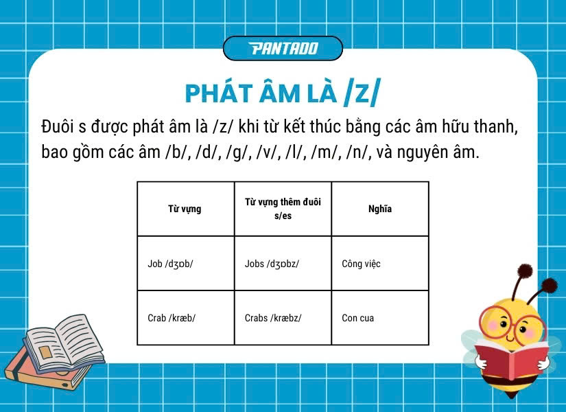 Các đuôi s, es được phát âm là /z/