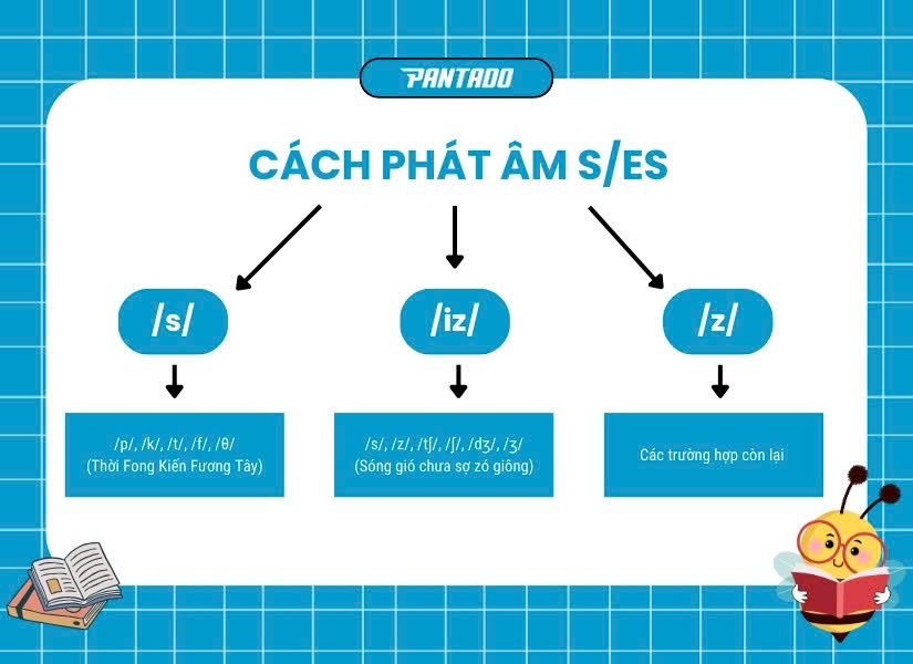 Mẹo ghi nhớ các cách phát âm s/es