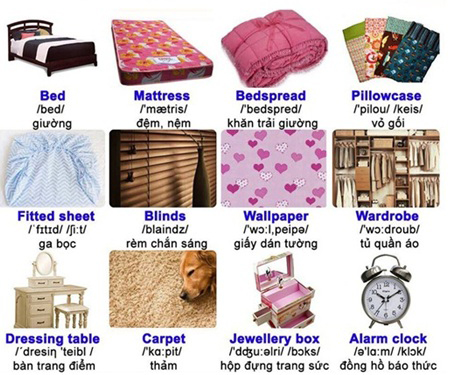 Tổng hợp từ vựng tiếng Anh về đồ dùng trong phòng ngủ đầy đủ nhất