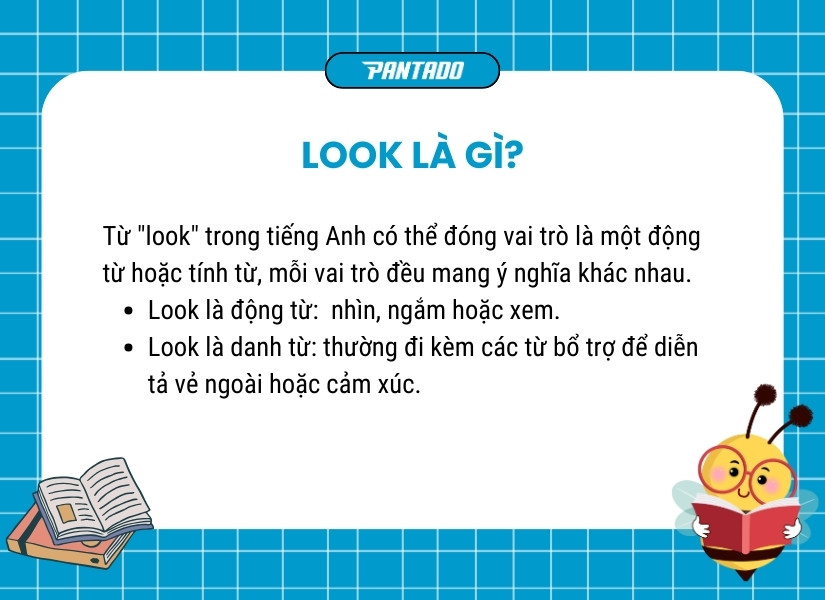 "Look" có nghĩa là gì?