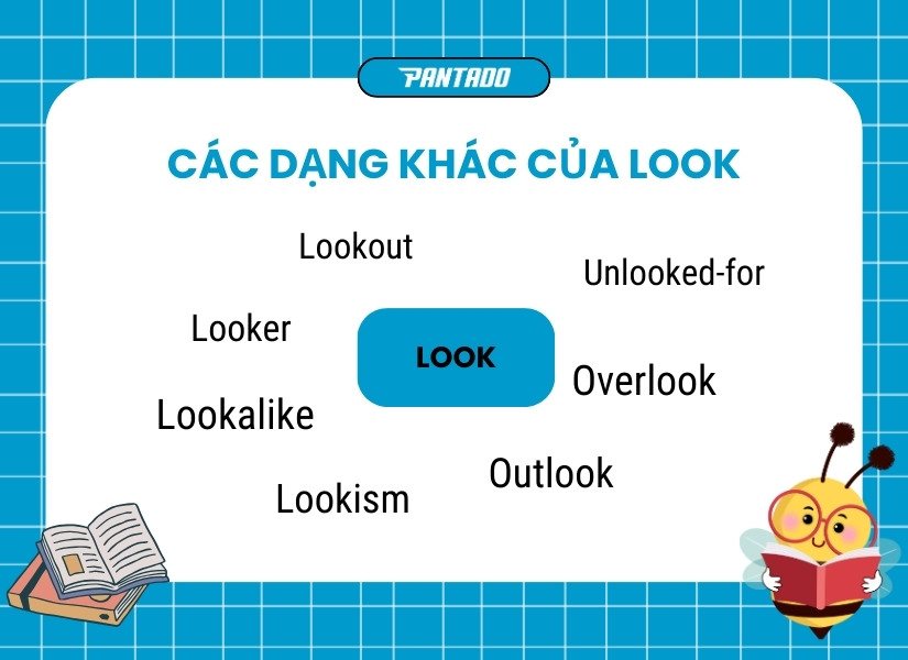 Các dạng khác của Look