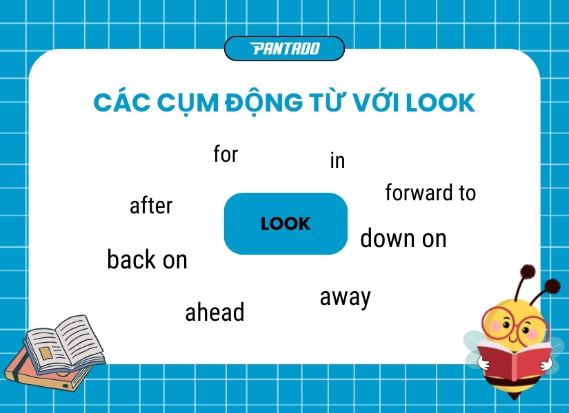 Các cụm động từ với Look