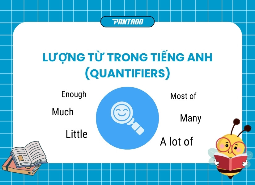 Lượng từ trong tiếng Anh là gì?