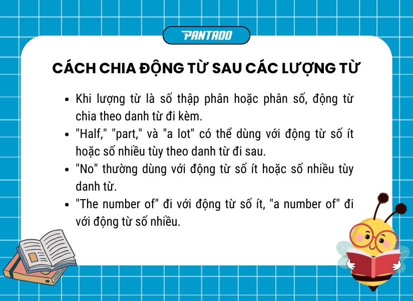 Cách chia động từ sau các lượng từ trong tiếng Anh