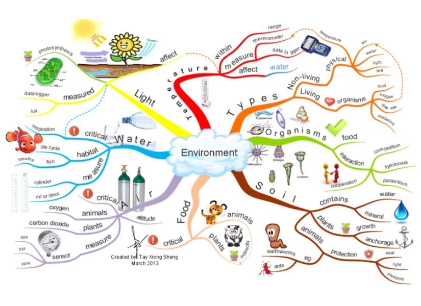 Sử dụng sơ đồ tư duy Mind Mapping để ghi chép từ vựng