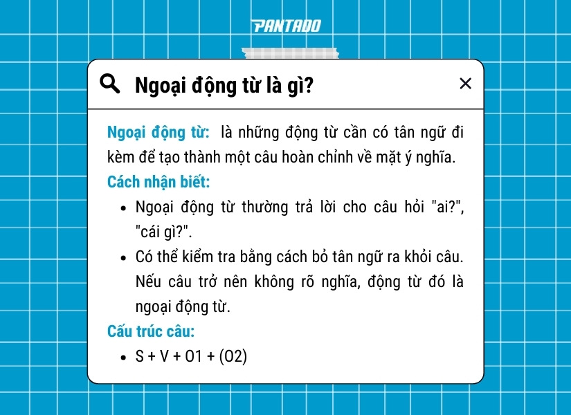 Định nghĩa và cách nhận biết ngoại động từ