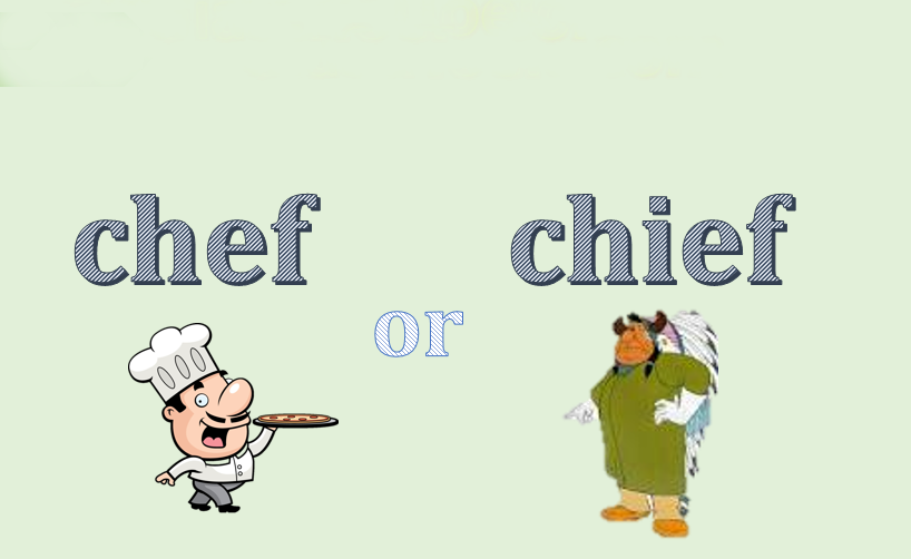 phân biệt chef và chief