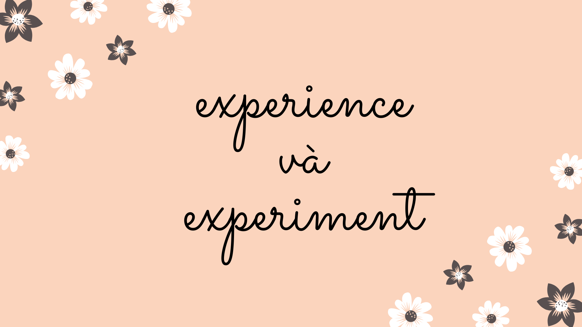 phân biệt Experience và Experiment