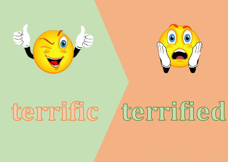 phân biệt Terrified và Terrific