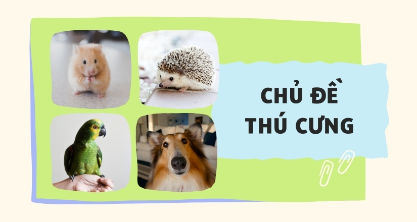 Mẫu câu giao tiếp tiếng Anh theo chủ đề cho trẻ - chủ đề thú cưng