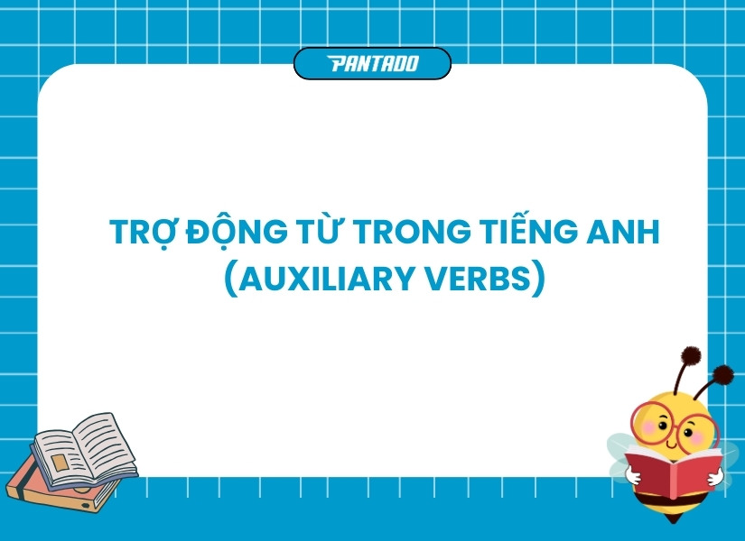 Trợ động từ trong tiếng Anh