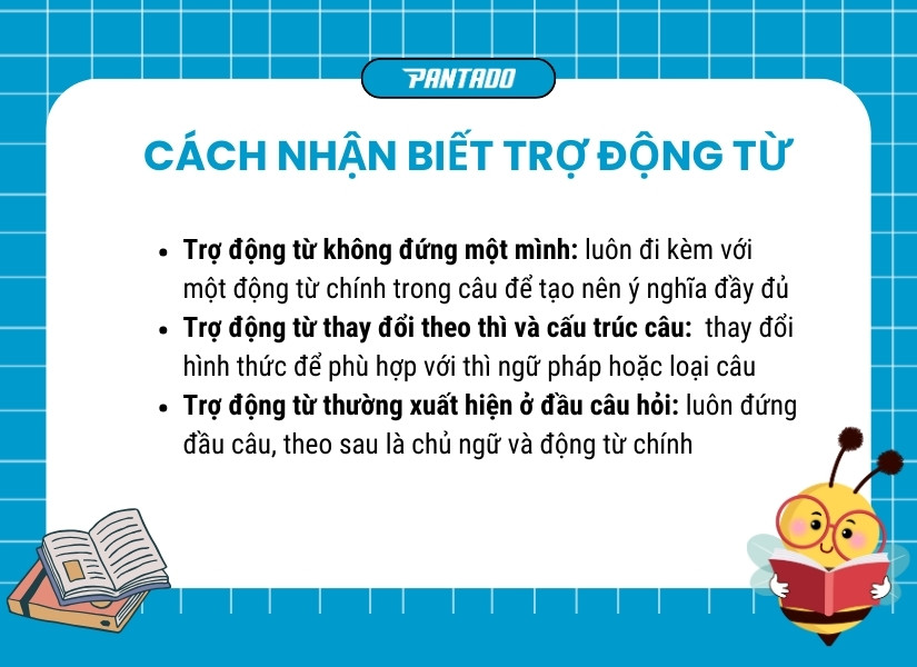 Cách nhận biết trợ động từ trong câu