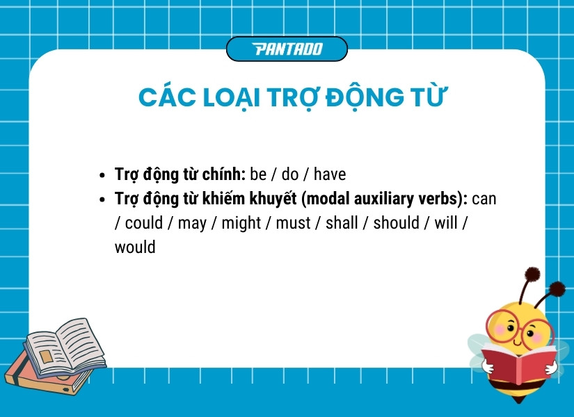 Các loại trợ động từ trong tiếng Anh