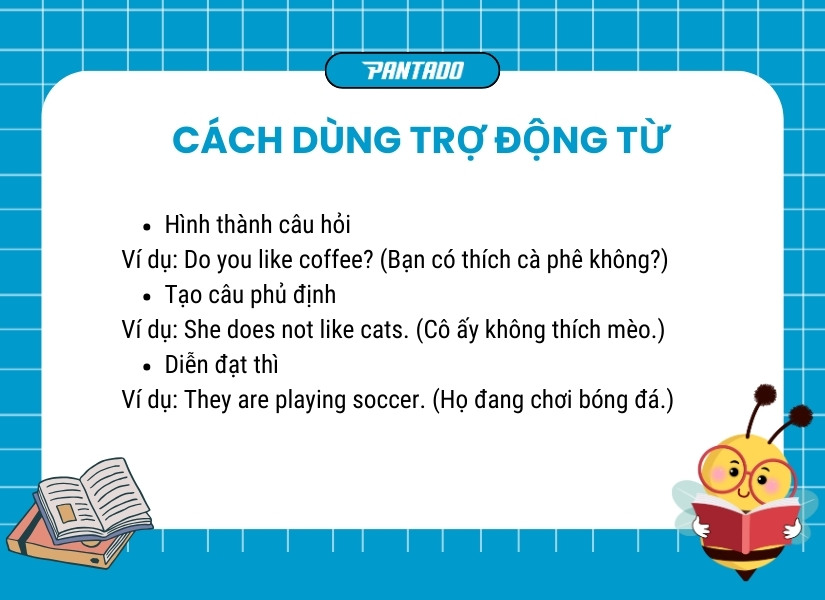 Cách dùng trợ động từ trong tiếng Anh