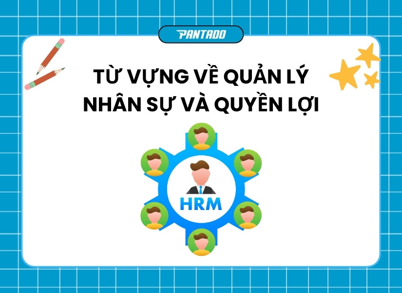 Từ vựng liên quan đến quản lý nhân sự và quyền lợi