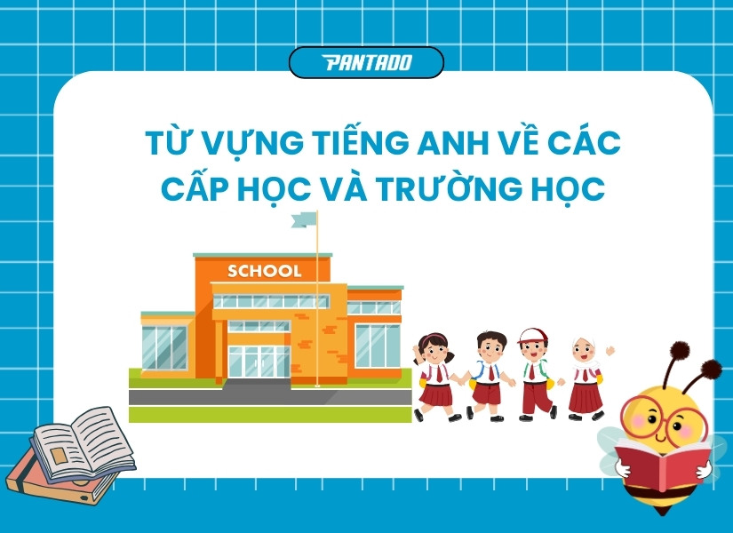 Từ vựng tiếng Anh về các cấp và trường học