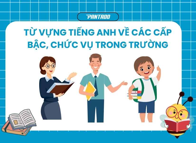 Từ vựng tiếng Anh về các cấp bậc trong trường học