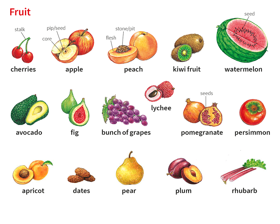 từ vựng về các loại hoa quả
