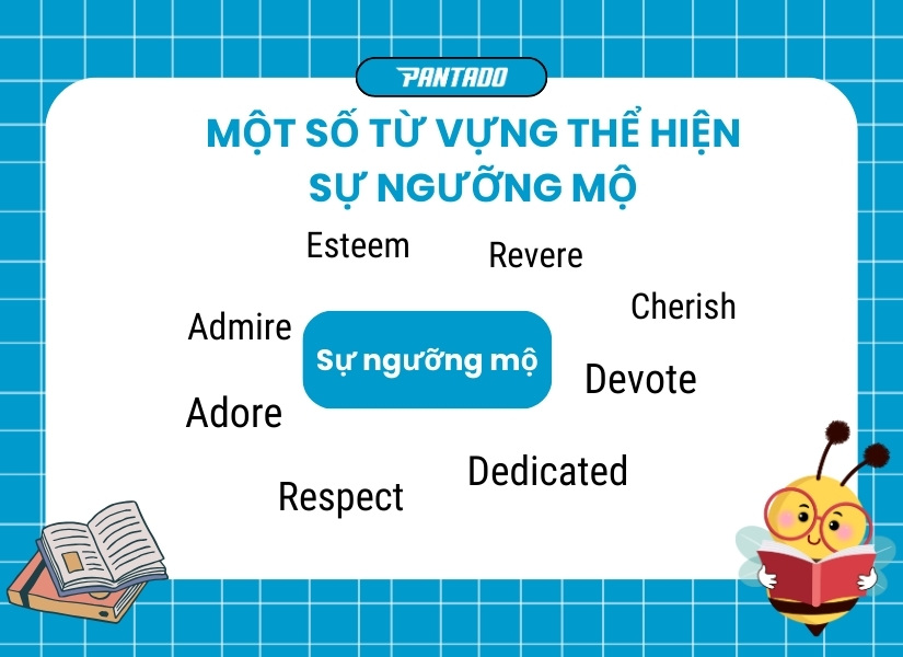 Một số từ vựng thể hiện sự ngưỡng mộ