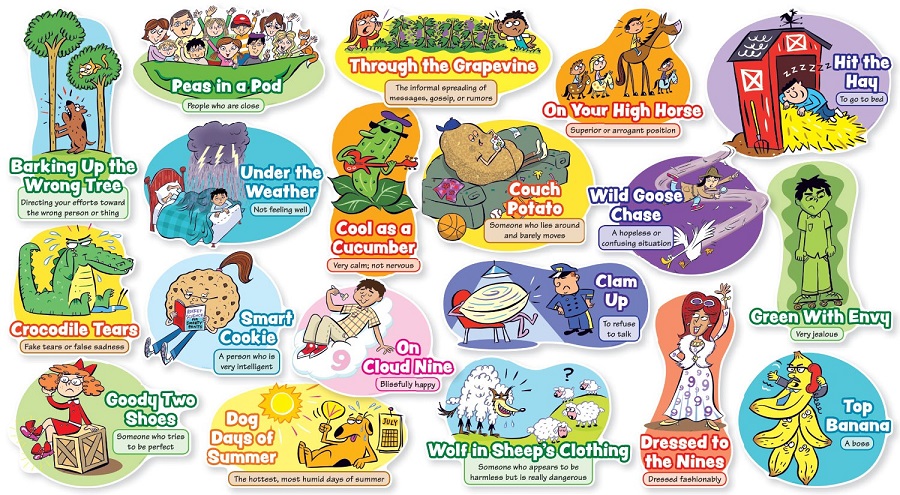 Những câu thành ngữ tiếng Anh thông dụng của người bản ngữ