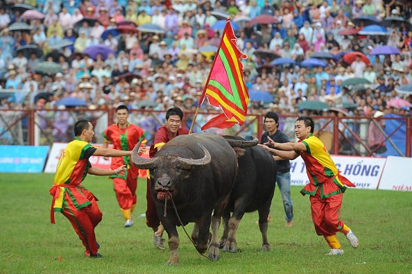 các lễ hội bằng tiếng Anh 
