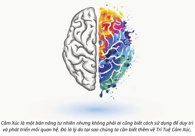 Trí thông minh cảm xúc là gì?