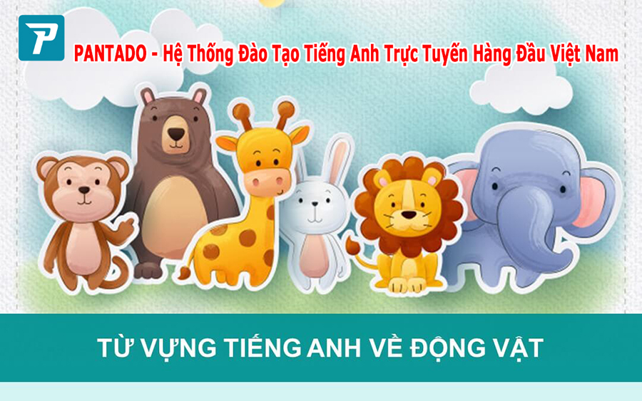 Từ vựng tiếng anh về động vật