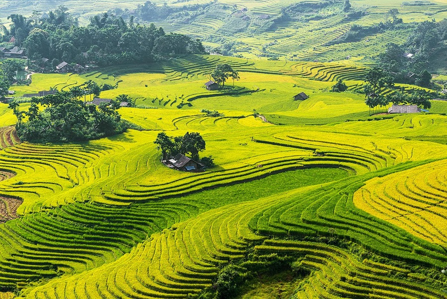 Từ vựng tiếng Anh về quê hương