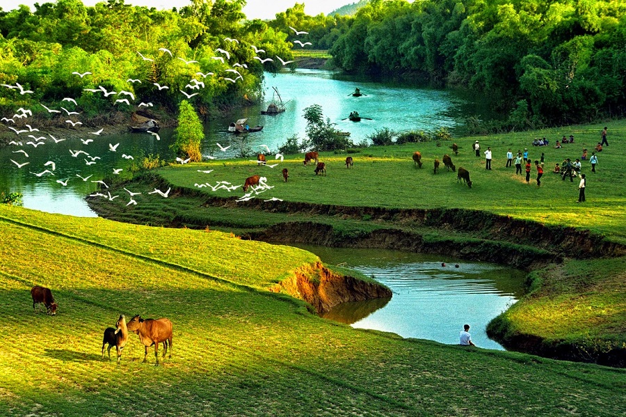 Từ vựng tiếng Anh về quê hương