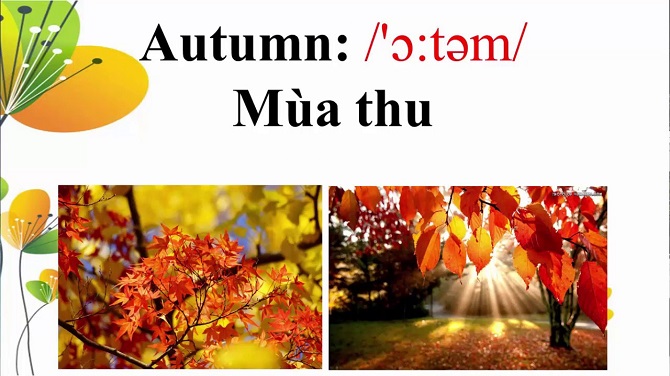 Từ vựng tiếng Anh về mùa thu