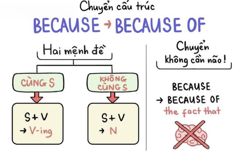 Chuyển cấu trúc Because sang Because Of dễ dàng