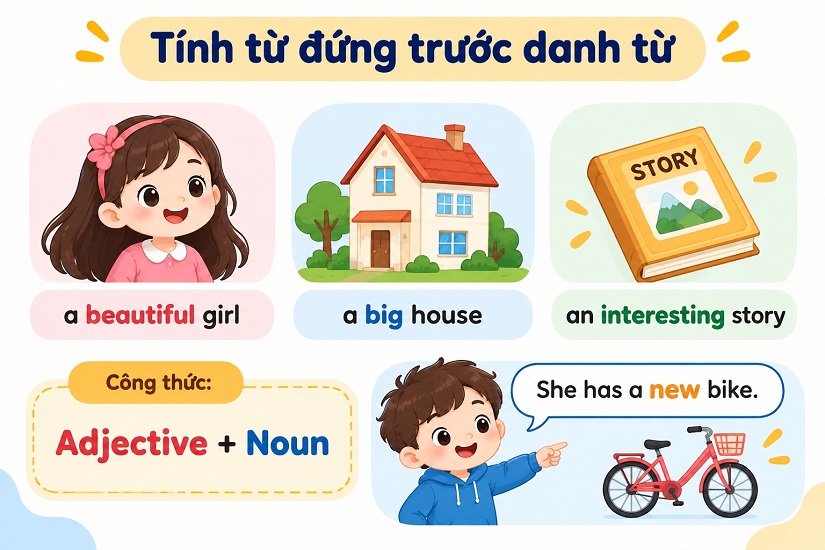 Tính từ đứng trước danh từ